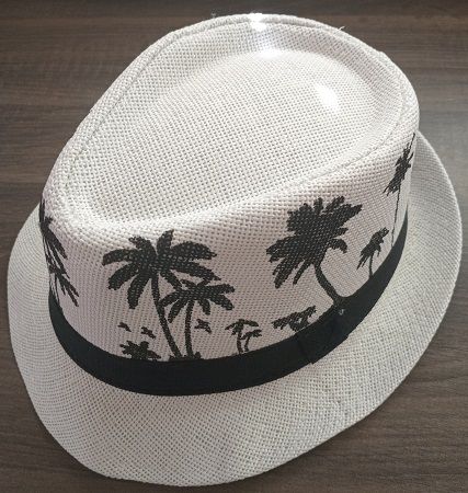 Palm Tree Hat